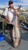 Moreton Island Fishing Charters 49kg Amberjack